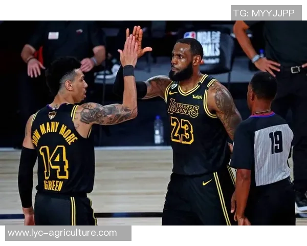 湖人对决热火NBA总决赛最新动态分析与精彩看点汇总