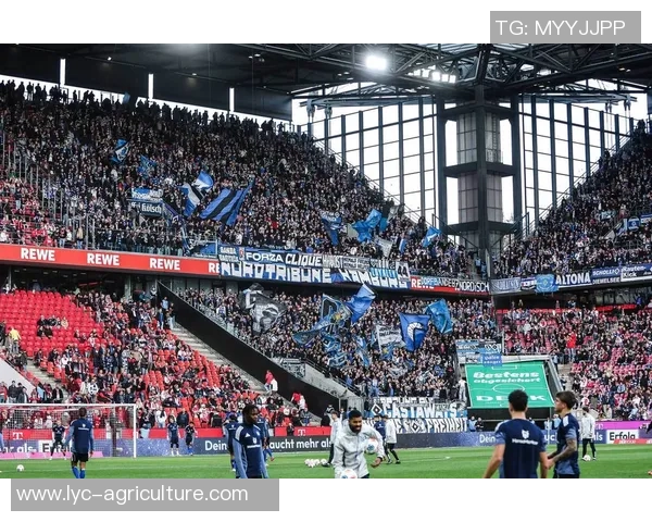 霍芬海姆主场迎战美因茨竞彩分析与赛前预测详解