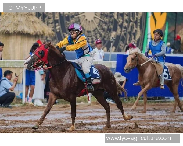 三都：“一匹马”赛出开展新天地